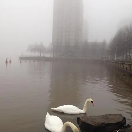 Citykoti Saunalla Ja Merinaekoealalla *